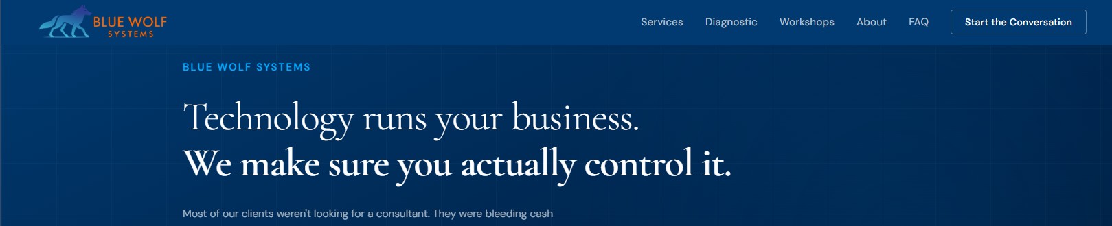 Blue Wolf Systems website